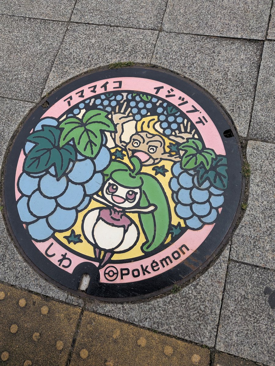 777_applepie's tweet photo. ポケふた😊と数十年ぶりに来た南部家敷👀懐かしい味がしました https://t.co/X61BFYUZeu