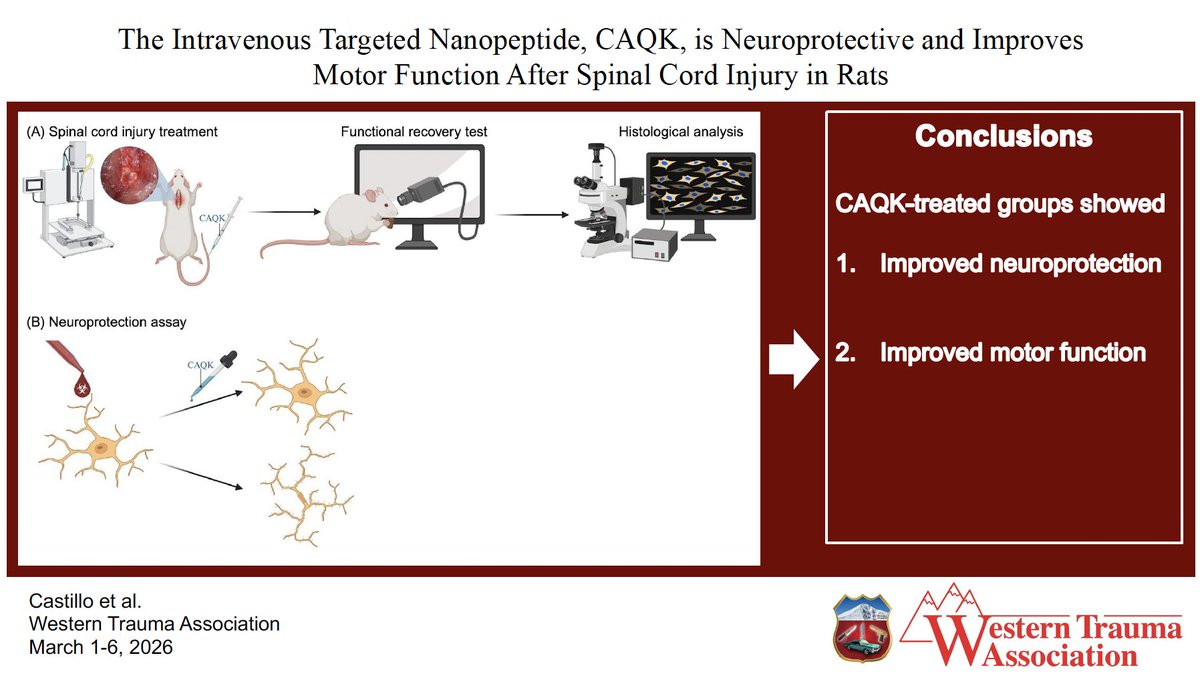 WesternTrauma's tweet photo. Last but not least: The Intravenous Targeted Nanopeptide, CAQK, is Neuroprotective and Improves Motor Function After Spinal Cord Injury in Rats. @UCDavisSurgery @UCDavisBME @UCDavisHealth
#WTA2026
#FellowshipOfTheSnow https://t.co/RyA3a7D0S3