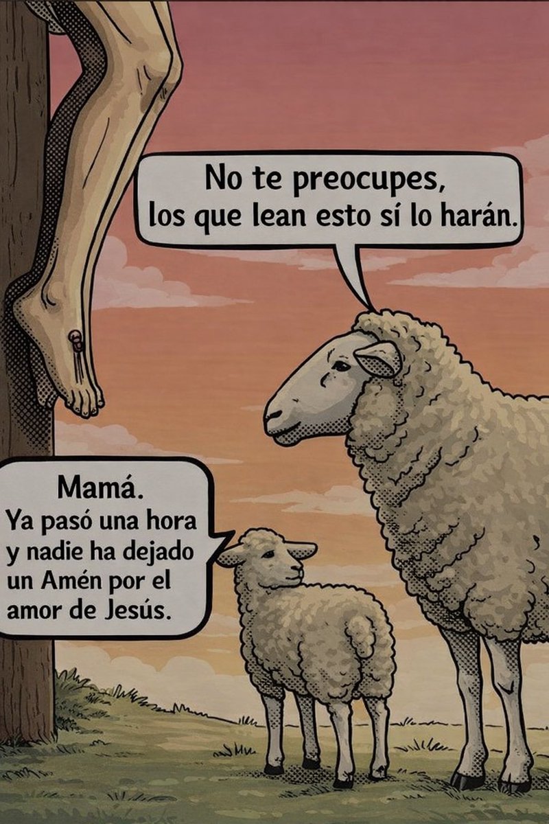 Ojo al Cielo tweet media