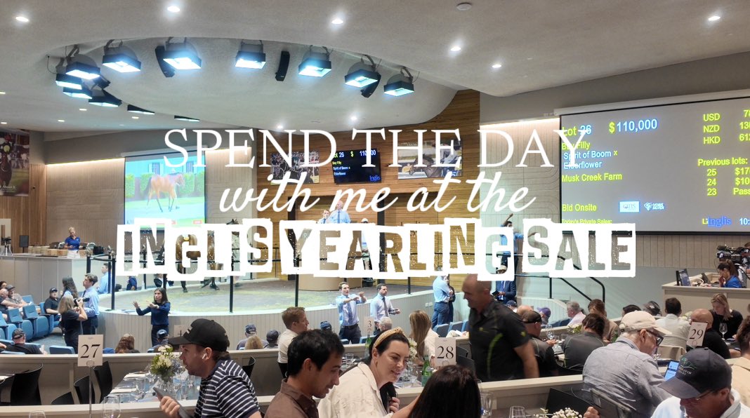 Bella Anderson tweet media