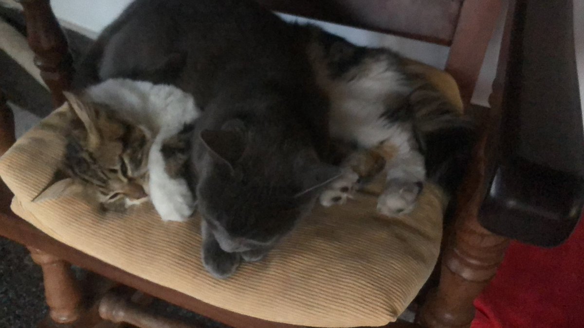 Fede Valle Oróz tweet media