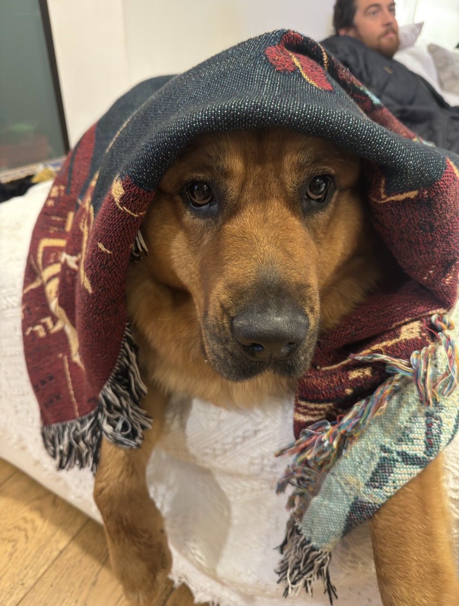 Kelli 🪬 tweet media