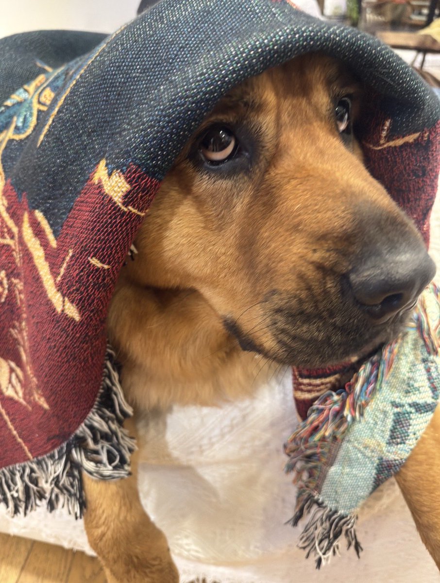 Kelli 🪬 tweet media