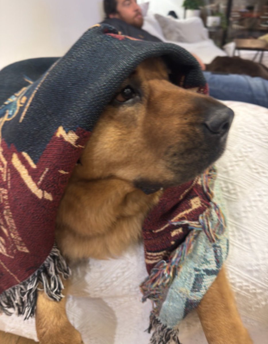 Kelli 🪬 tweet media