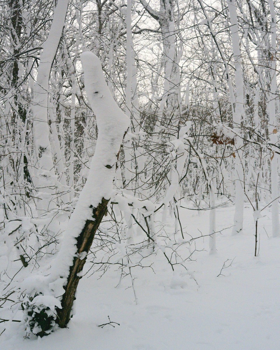 dcp (@beforeorbeyond) on Twitter photo 