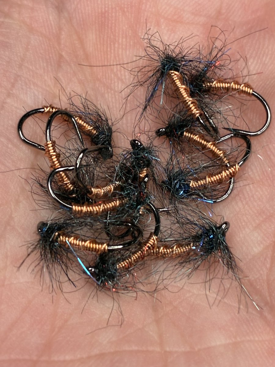 Not Only Trout tweet media