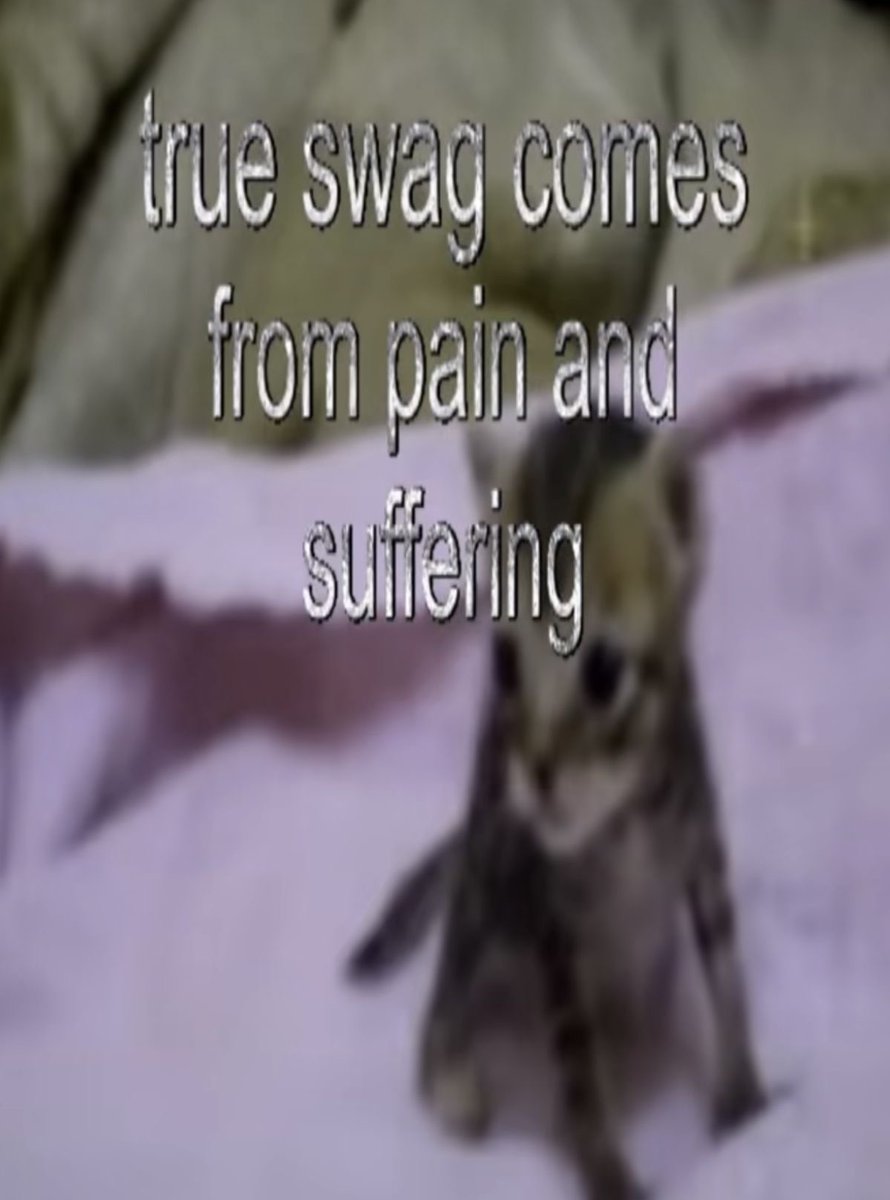 Cat Posted (@catposted) on Twitter photo 