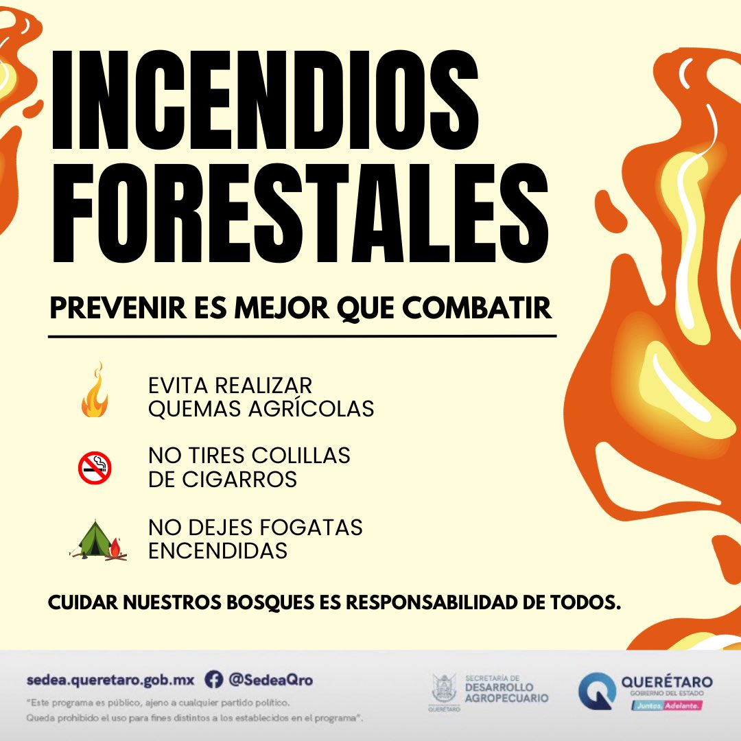 SedeaQro's tweet photo. 🔥Prevenir un incendio es fácil. Combatirlo no. 

Si detectas un incendio forestal repórtalo de inmediato al 911, o al 442 286 2686 #SEDEA

¡Cuidar a #Querétaro es tarea de todos! 🌳 https://t.co/D7d2yn6LCh