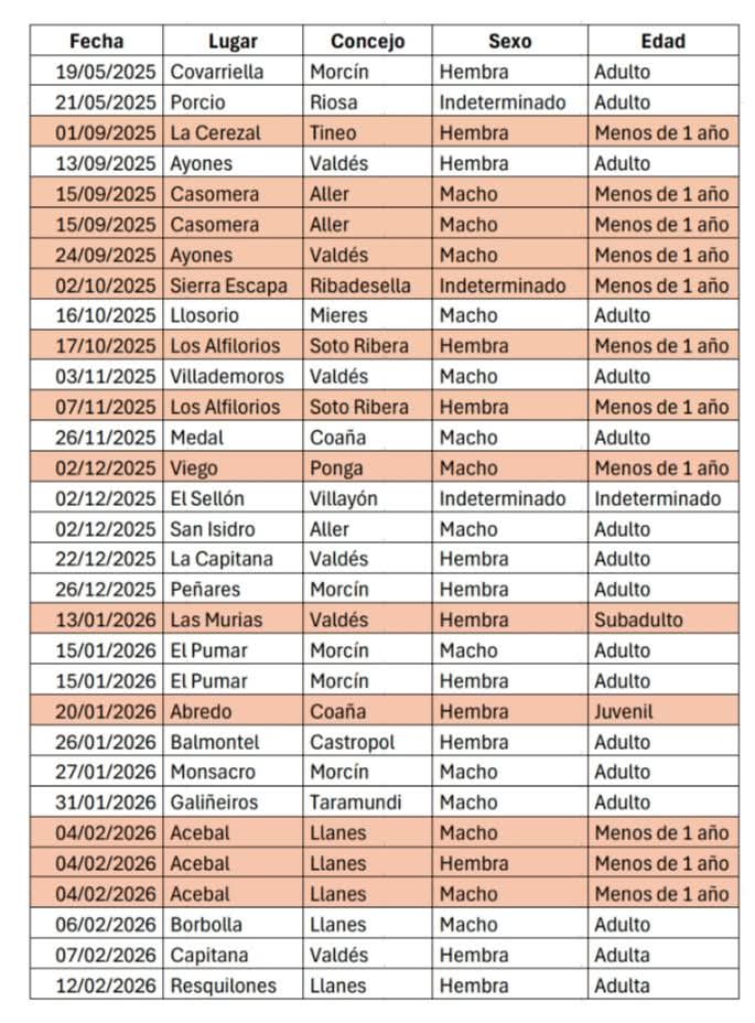 Marcoslrua's tweet photo. 1️⃣Este gráfico no es solo un listado de lobos muertos. No son solo fechas, lugares y categorías. Es la huella silenciosa de vidas que se apagaron. Que las han apagado. 
https://t.co/dlBHe3CPQ1 https://t.co/MLSC6X8UqC