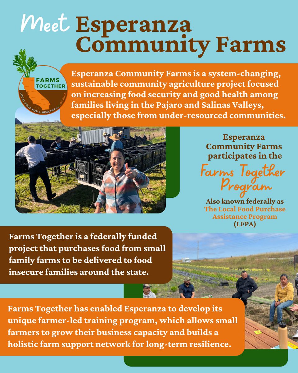 famfarms's tweet image. California's Farms Together program has invested $44M, engaging 800+ farmers and delivering food to families statewide. Now the federal program is ending. We're urging state legislators to invest $45M to keep this vital infrastructure alive. #FarmsTogether #LocalFood