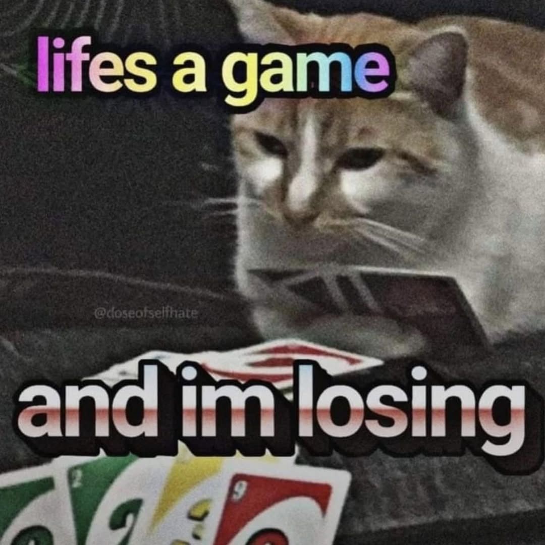 Cat Posted (@catposted) on Twitter photo 