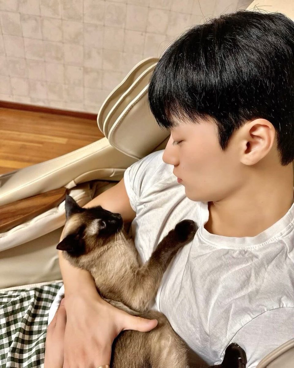 I know times are rough right now…
but even if its just for a moment, I hope this tweet of my pookies Lee Know &amp; Choi San w/ their cats, helps put a smile on your face 💜