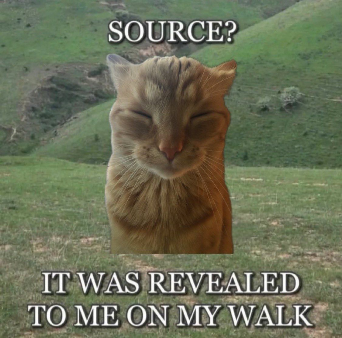 Cat Posted (@CatPosted) on X
