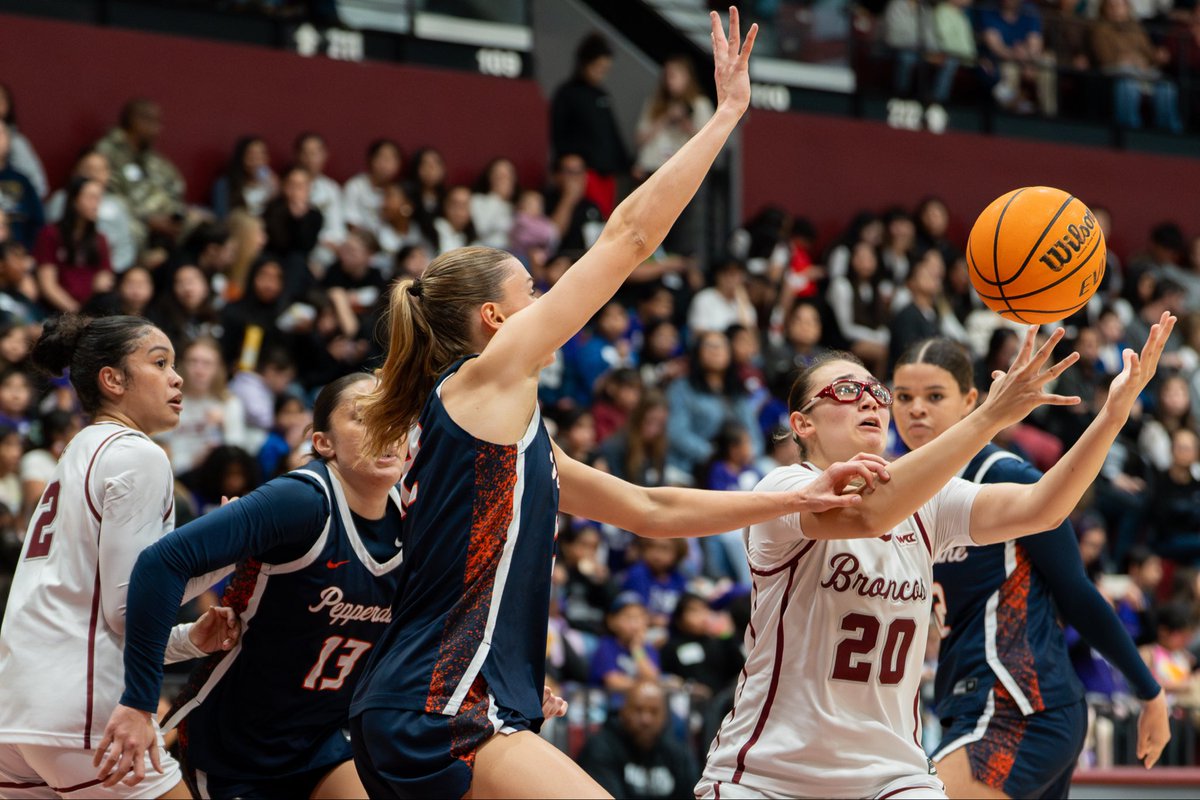 Evan Weiss tweet media