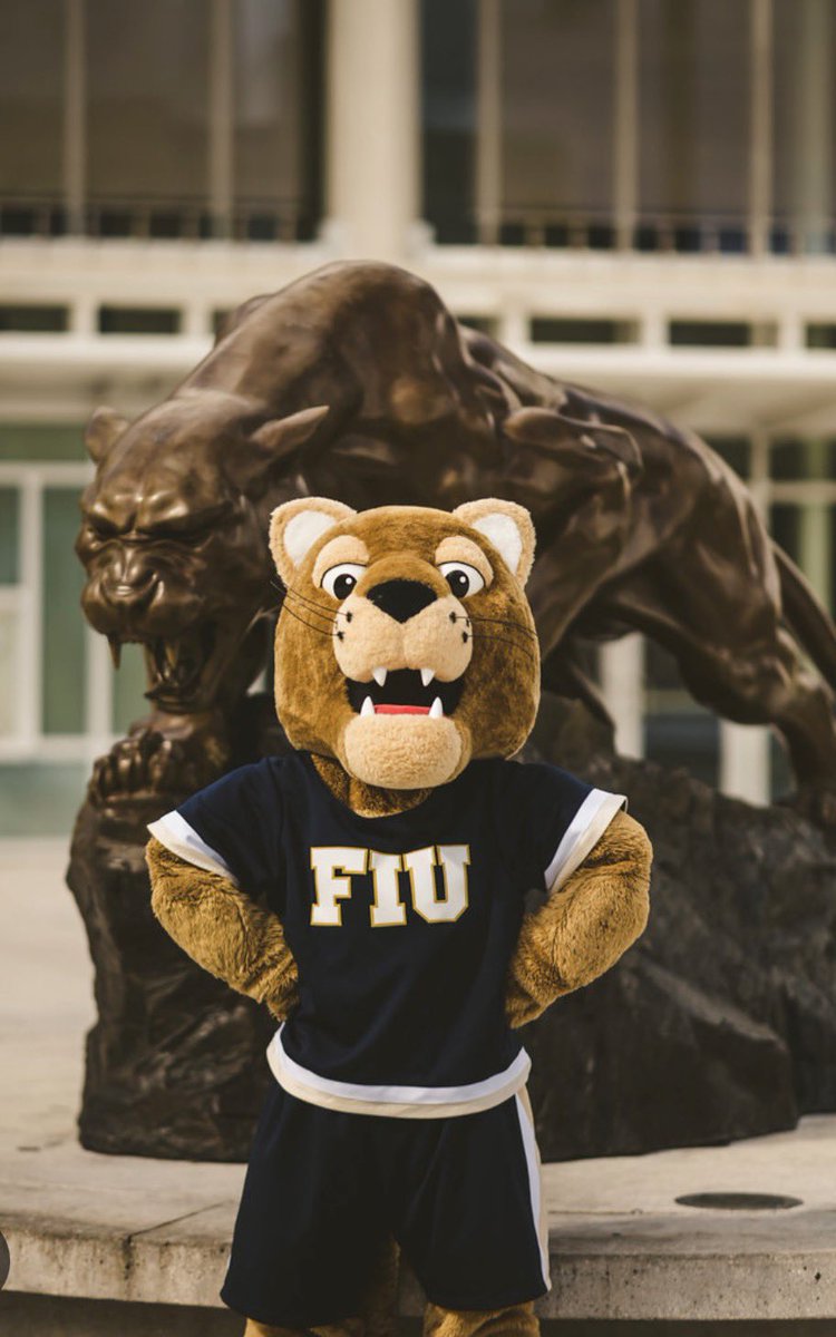 Damian (DP) Price tweet media