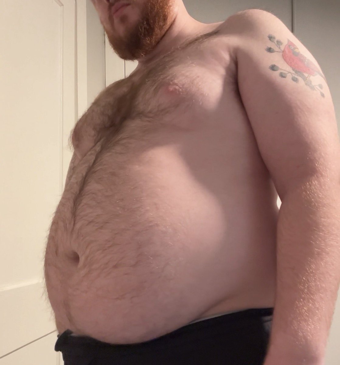 gingerbinge tweet media