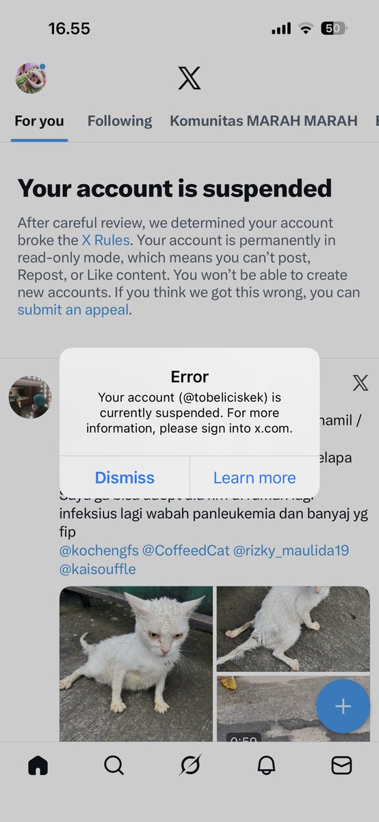 𝘏𝘢𝘺𝘪𝄞⨾𓍢ִ໋🧚🏻‍♀️ tweet media