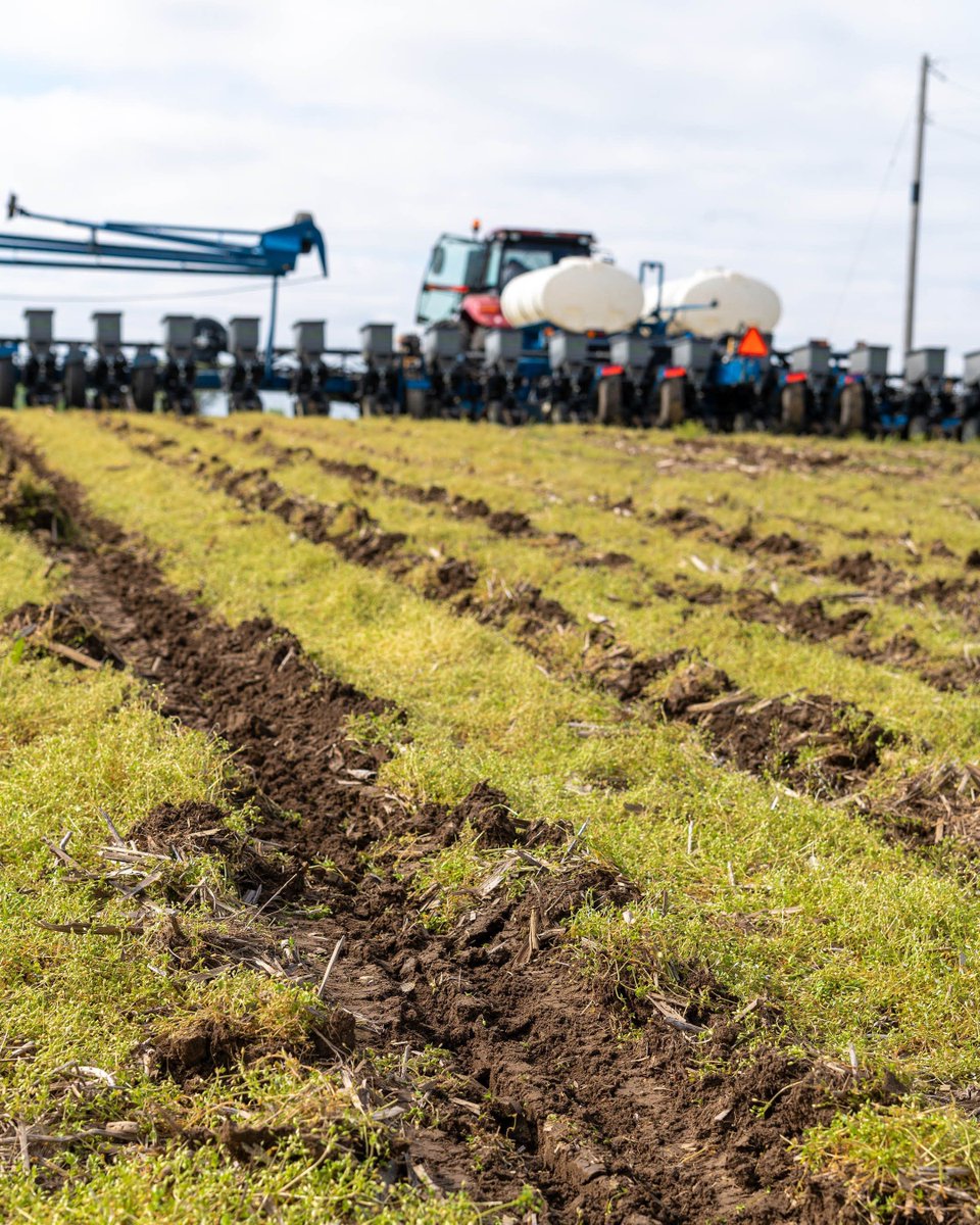 Indiana Connection tweet media