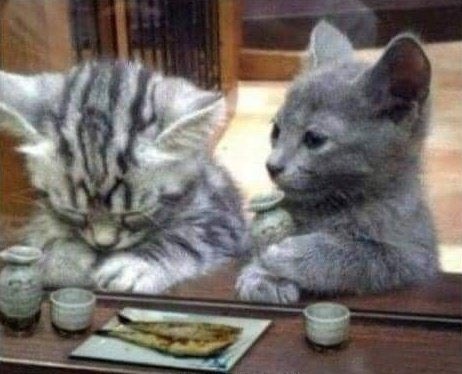 Quero tudo que for pra gente se dar bem
Quero tudo que me faça seguir apaixonada
Quase tudo nessa vida me deixa apaixonada