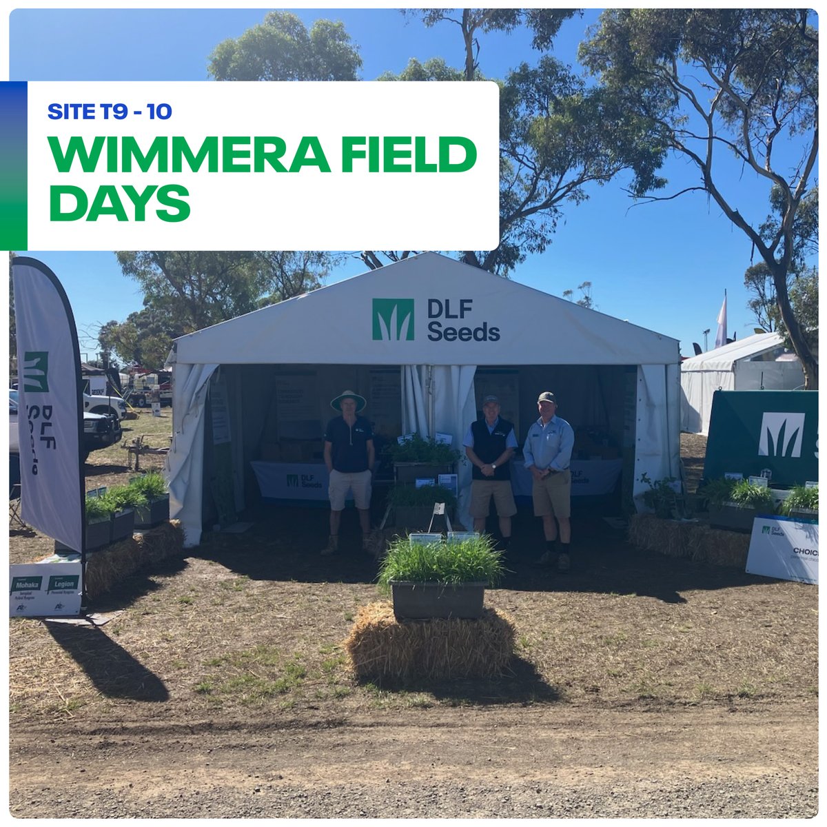 DLF Seeds tweet media