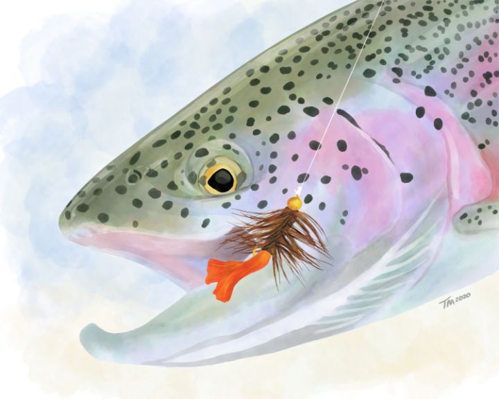 Tony McCall tweet media