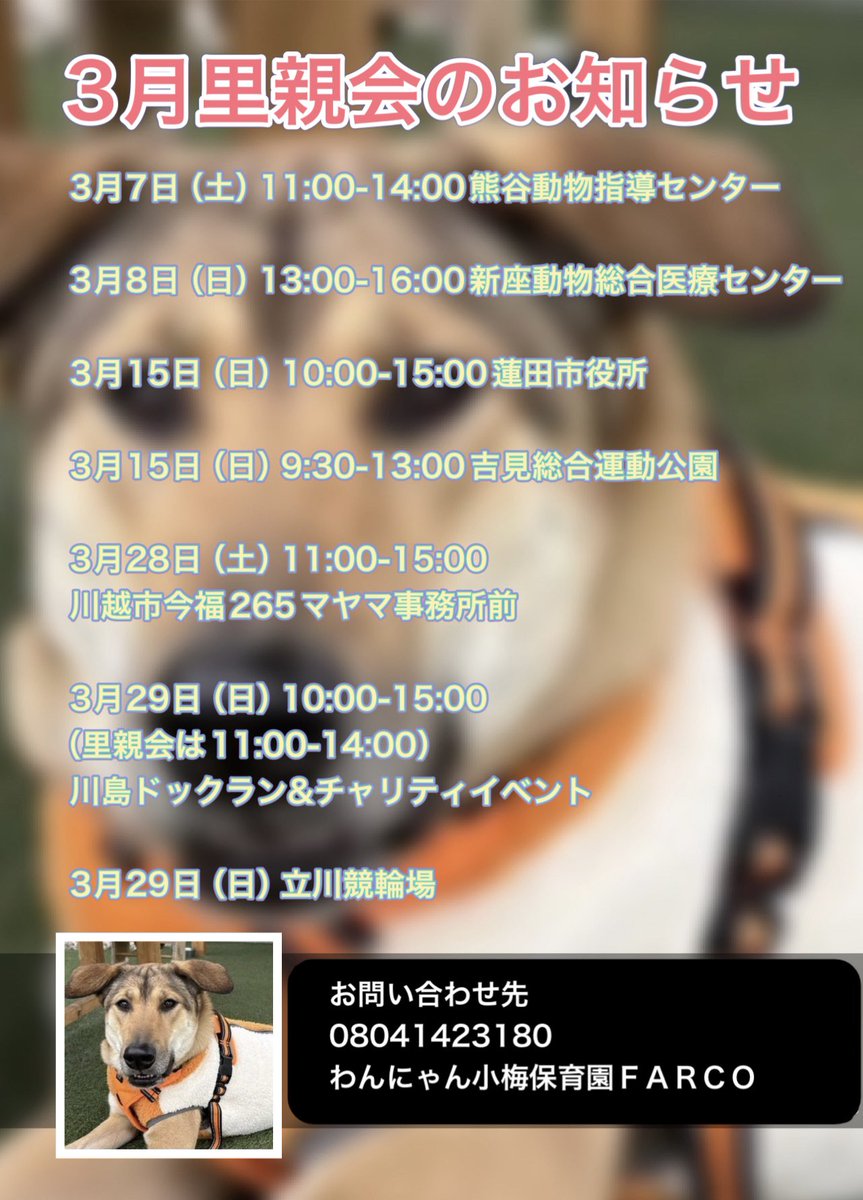 埼玉県＆東京都にて★3月里親会のお知らせ★みんなで運命の里親さんを待っています🥰

お問い合わせ先
little-quu@nifty.com
08041423180

わんにゃん小梅保育園
ＦＡＲＣＯ