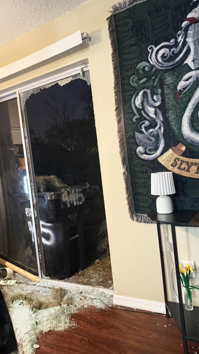 katarafv's tweet photo. I almost fucking died today. I was doing my nails and a tree just came through the glass door behind me. What is this luck🥲 https://t.co/TQ2vJwivdV
