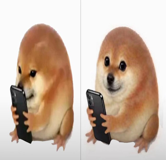 Cheems_Guevara's tweet photo. I have never once seen this many Cheems memes on the timeline, even during the great Cheems war of 2025 when there were new pumpfun Cheems vampcoins being launched and botted into trending topics daily for like a month https://t.co/oyGjMhTy6C