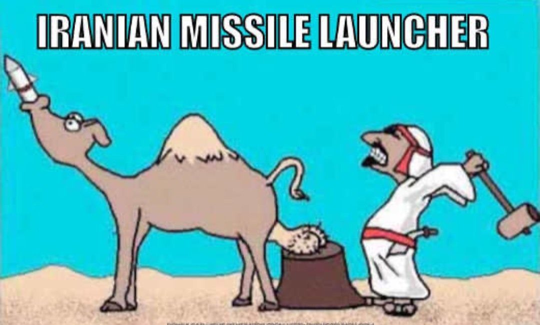 Catturd ™ tweet media