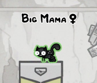 🌸 riley tweet media