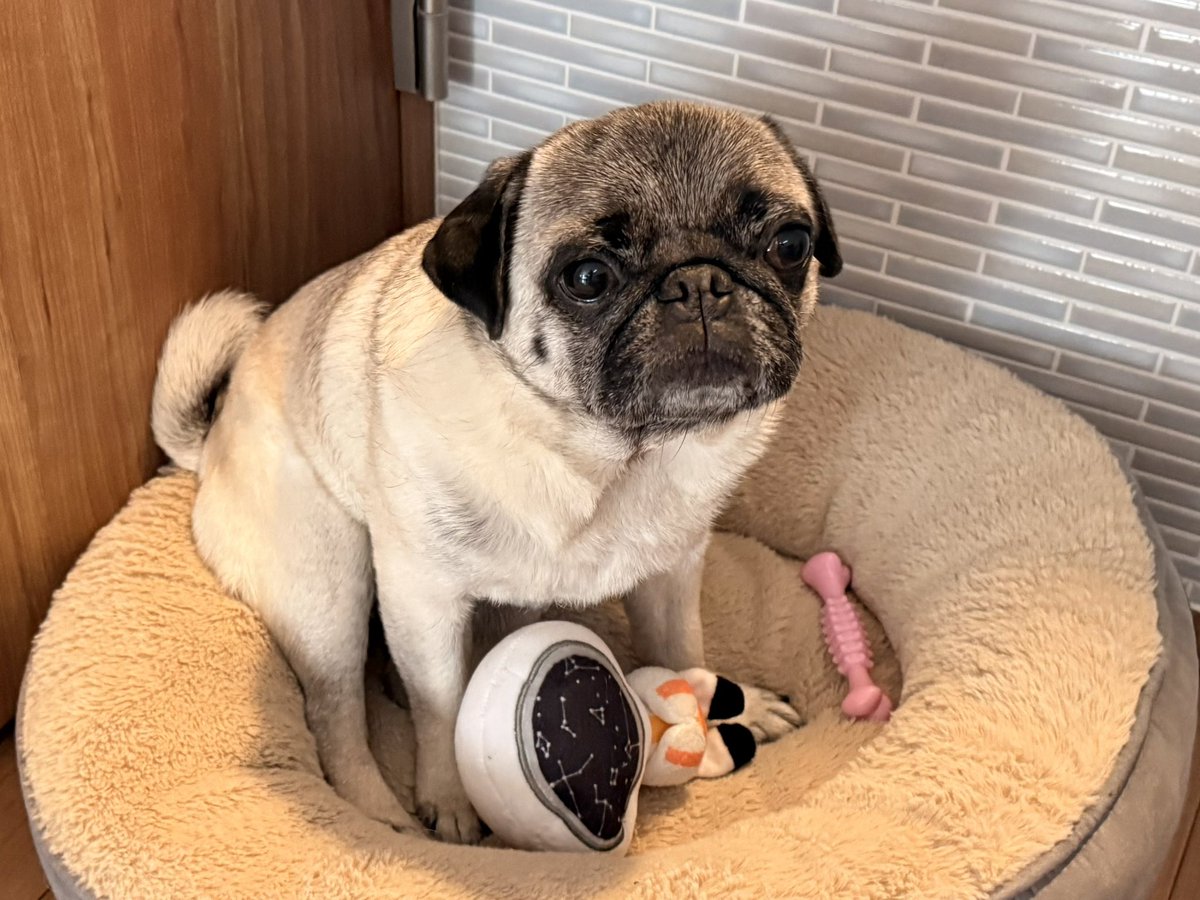 茂木欣一 tweet media