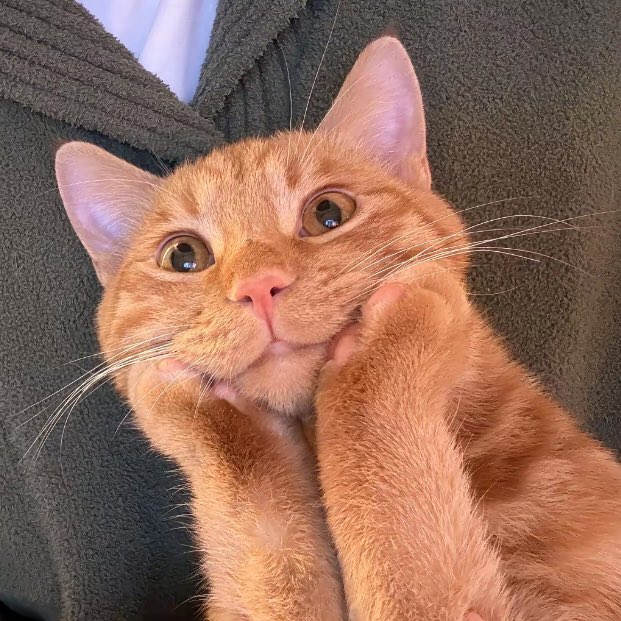 เย้ย วันนี้ตื่นเร็วกว่าเด็กๆ เลย✌️

#auausave