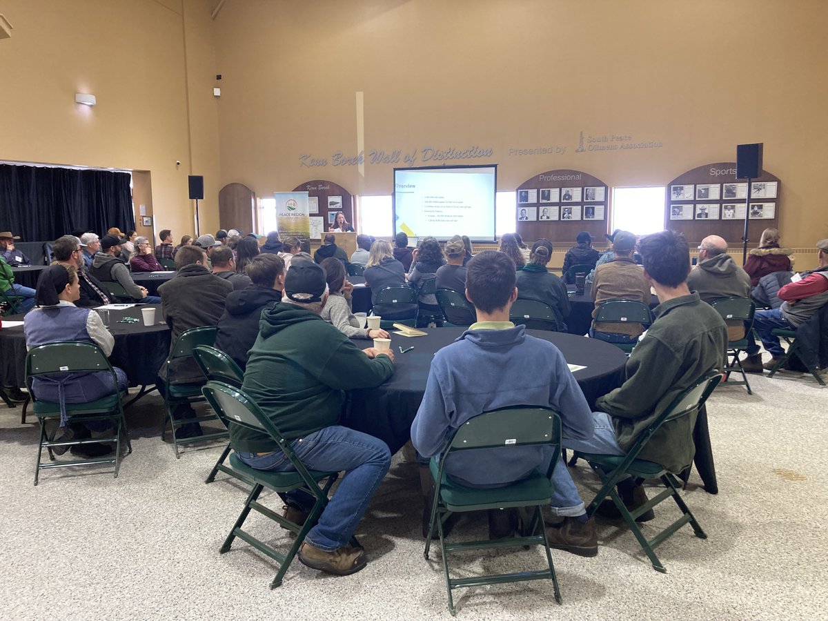 Peace Living Lab tweet media