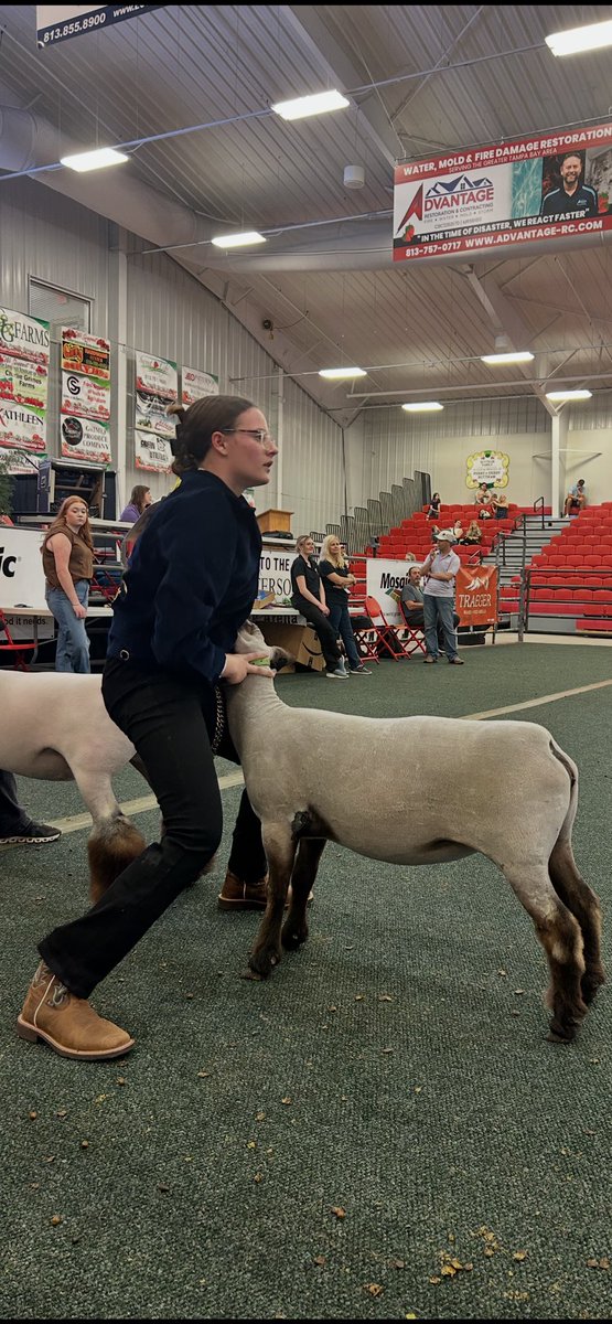 Walker Middle Magnet IB World School tweet media