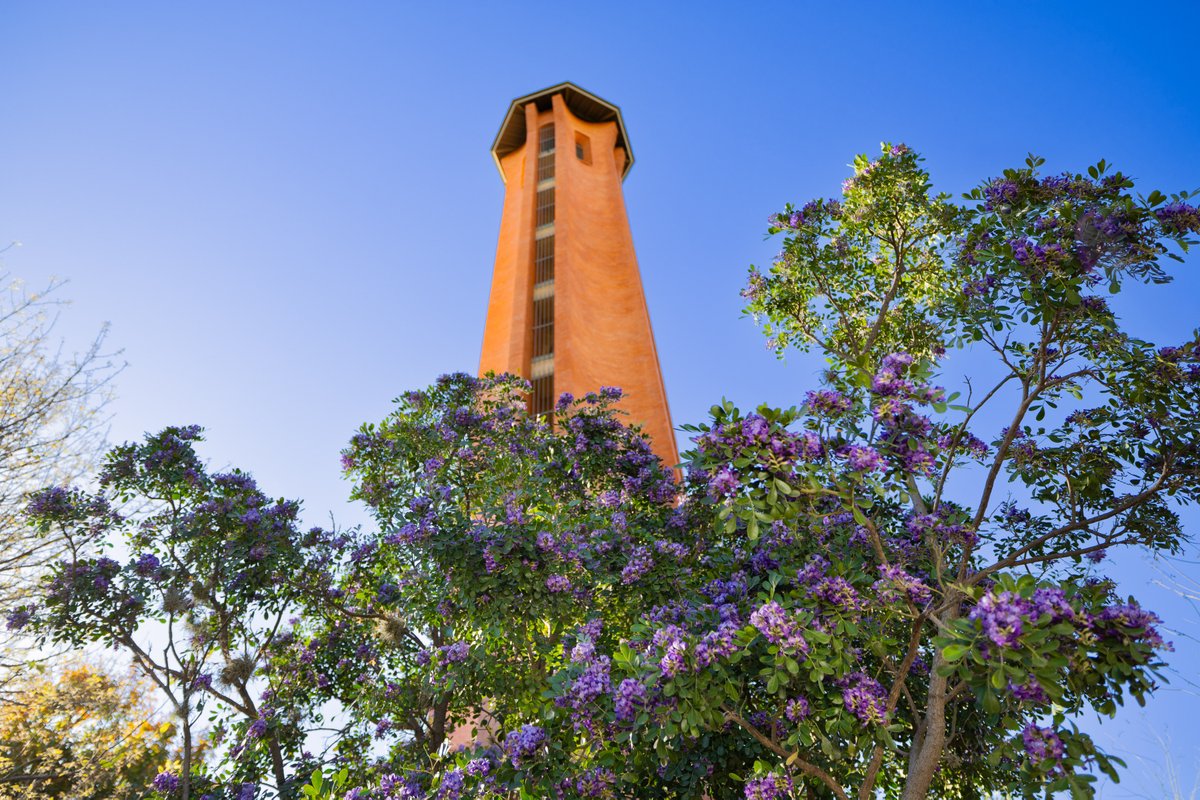 Trinity University tweet media