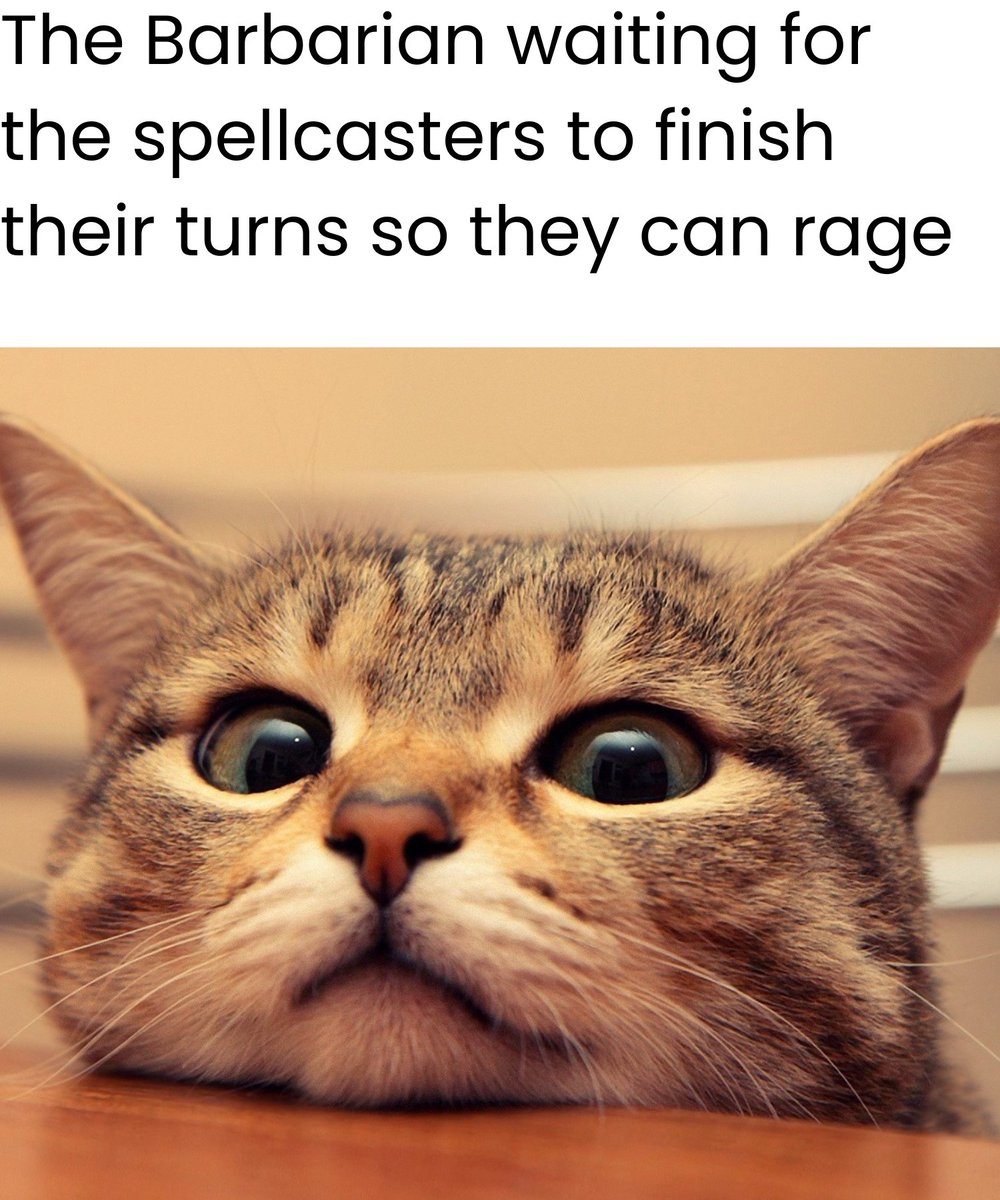AFewBurntHairs's tweet photo. Please leave some for the rest of us, dear wizard.

#dndmemes #dungeonsanddragons #dnd https://t.co/vrQ6TzkViF