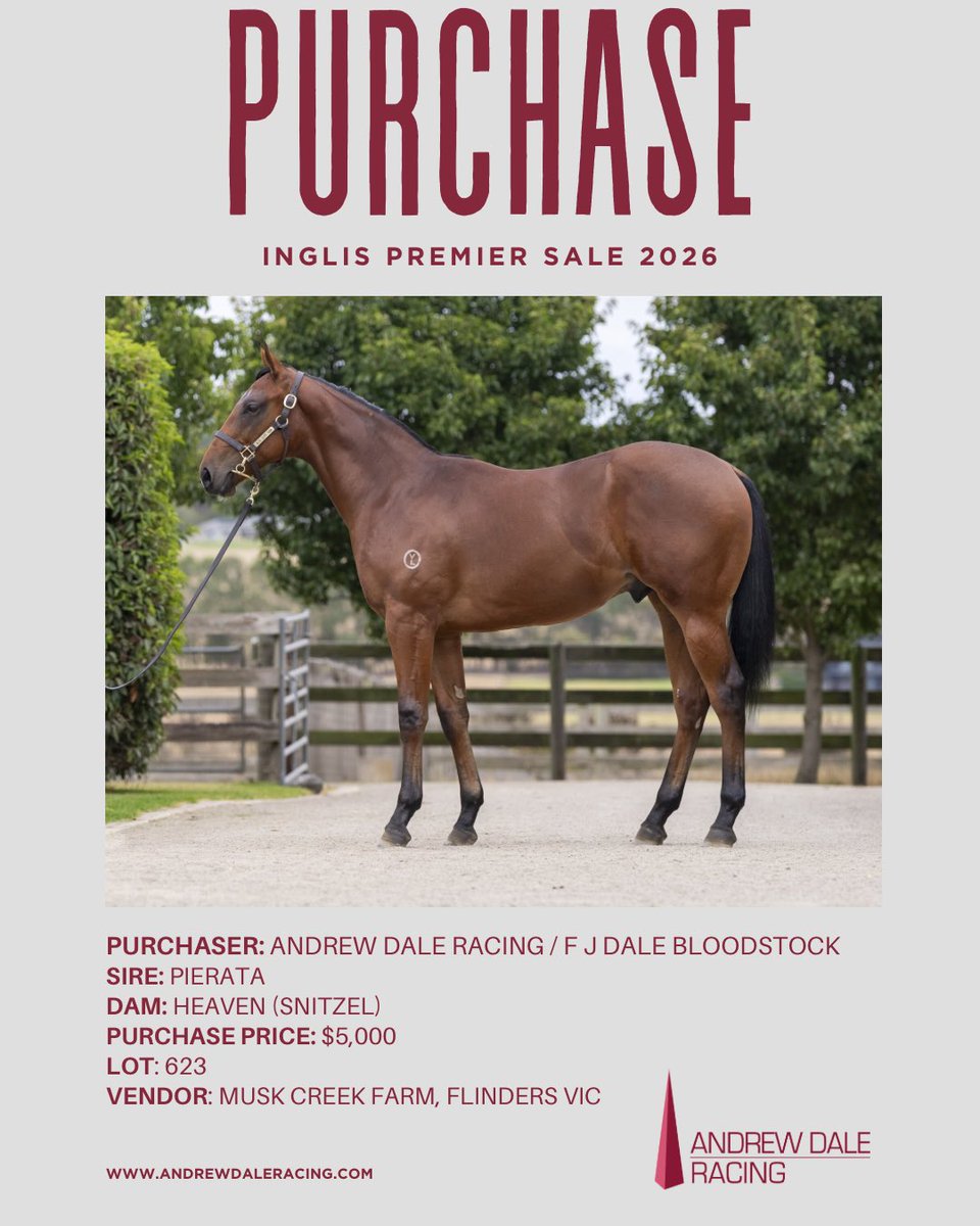 Andrew Dale tweet media