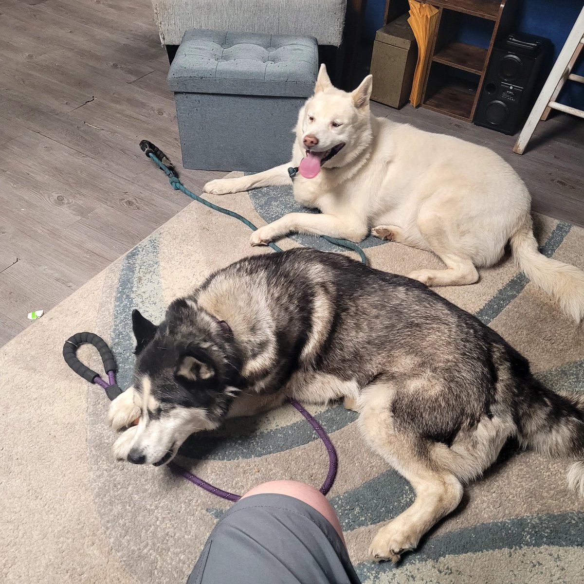 coachbly tweet media