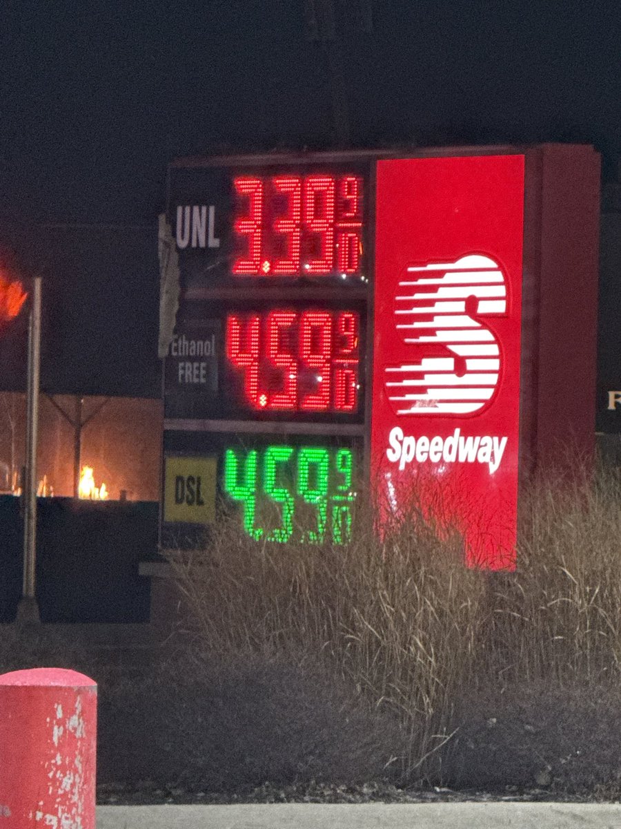 britt 🐅 tweet media