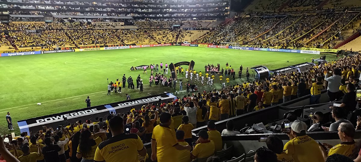 Berryman tweet media