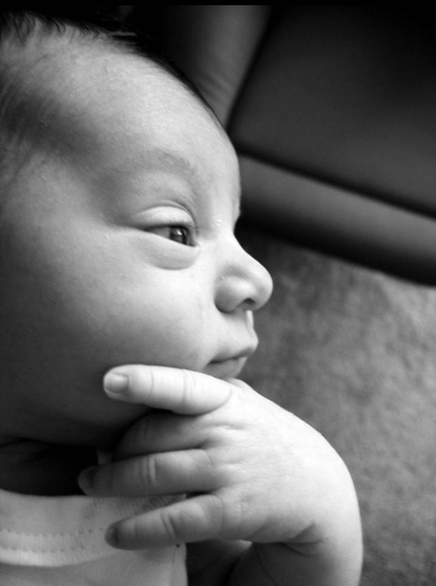 SiB | Vulcan tweet media