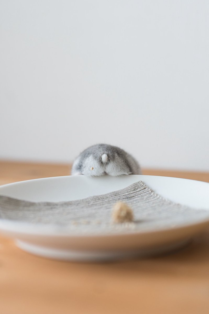 ネットでハムケツで検索したら筋トレの話題たくさん出てきたんだけどこっちじゃないの？