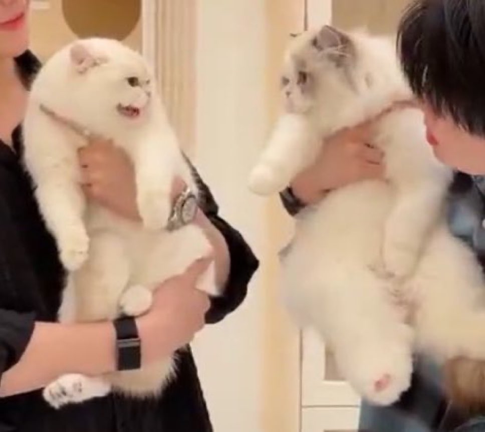 หื้อ? บอกตอนไหน
บอกแล้ว! บอกแล้วค่ะ!!!!