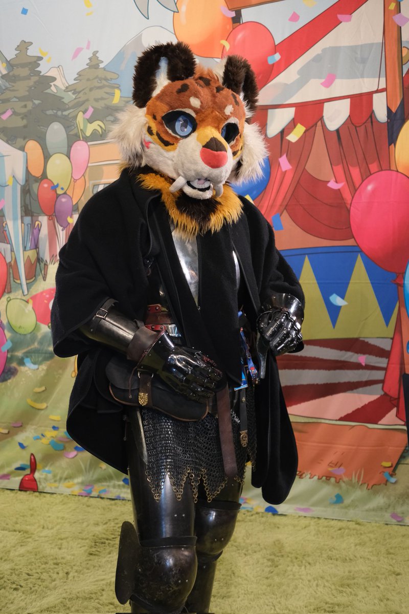 TigerTango tweet media