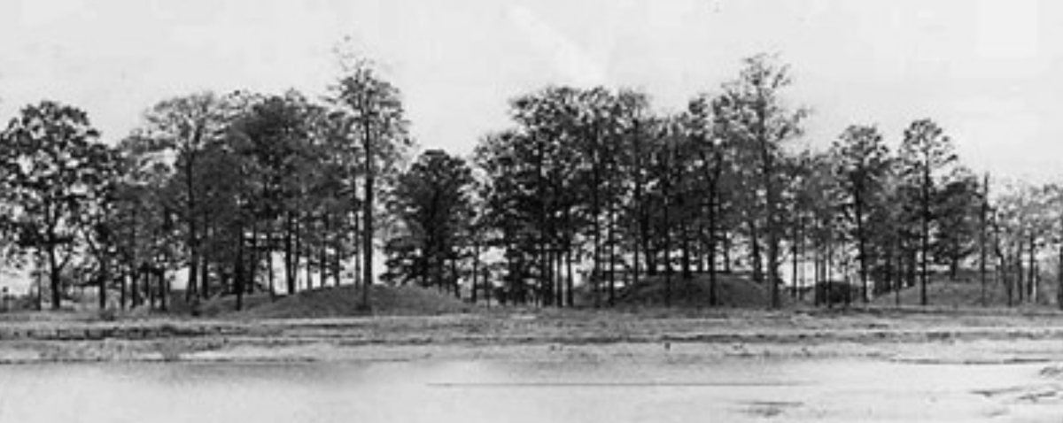 Gregory L Little, Ed.D. tweet media