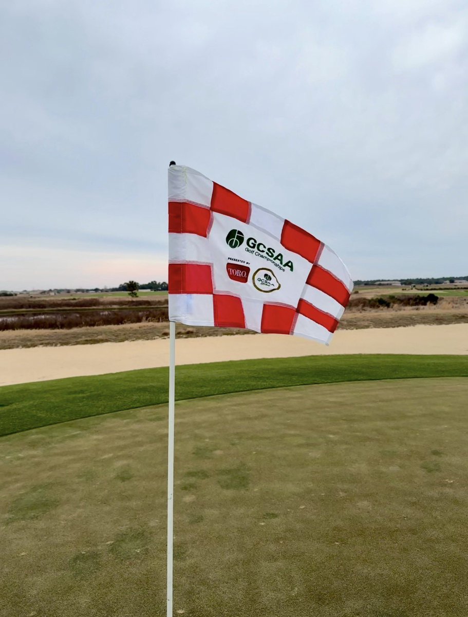 Standard Golf tweet media