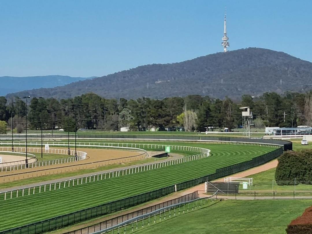 Thoroughbred Park tweet media