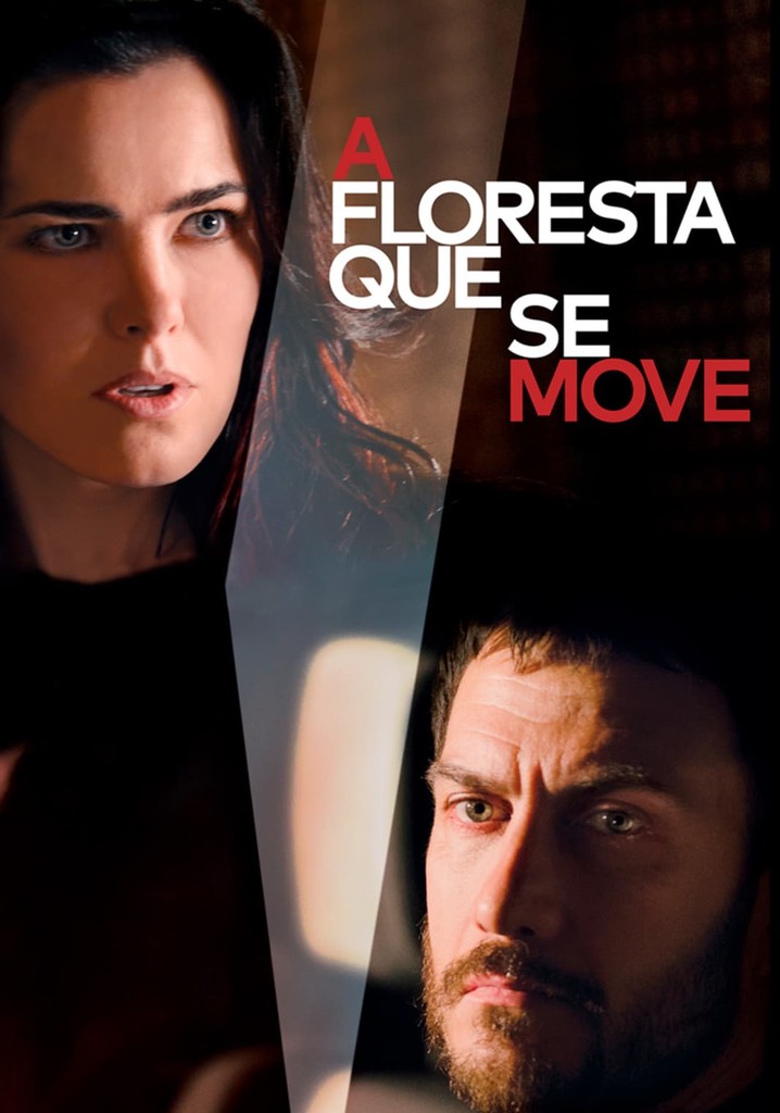 Scheila Scisloski tweet media