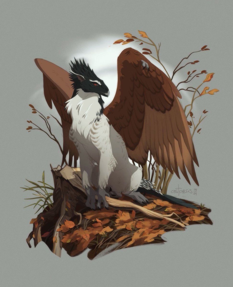 Astarcis🍂 tweet media