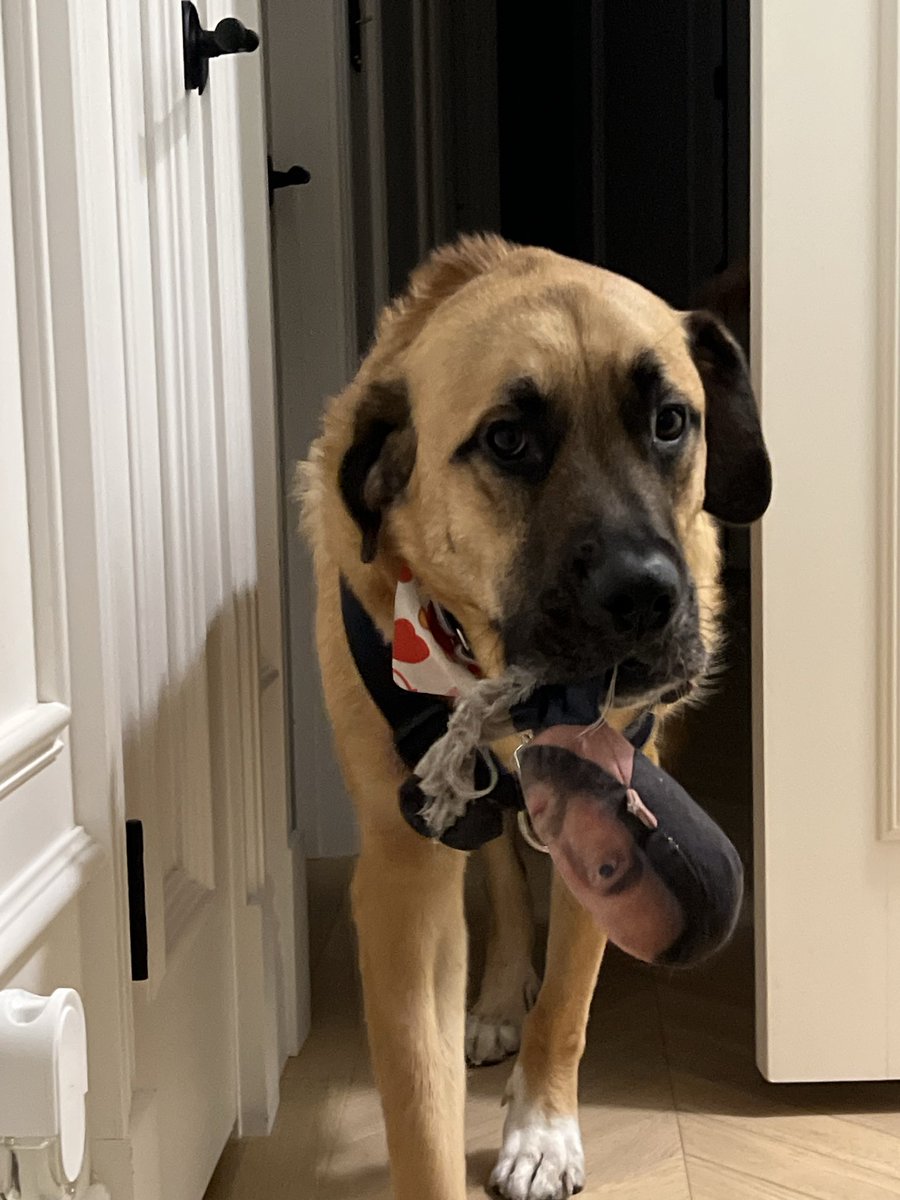 PFT Commenter tweet media